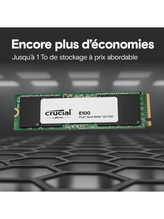CRUCIAL E100 480G Gen4 2280 Tray