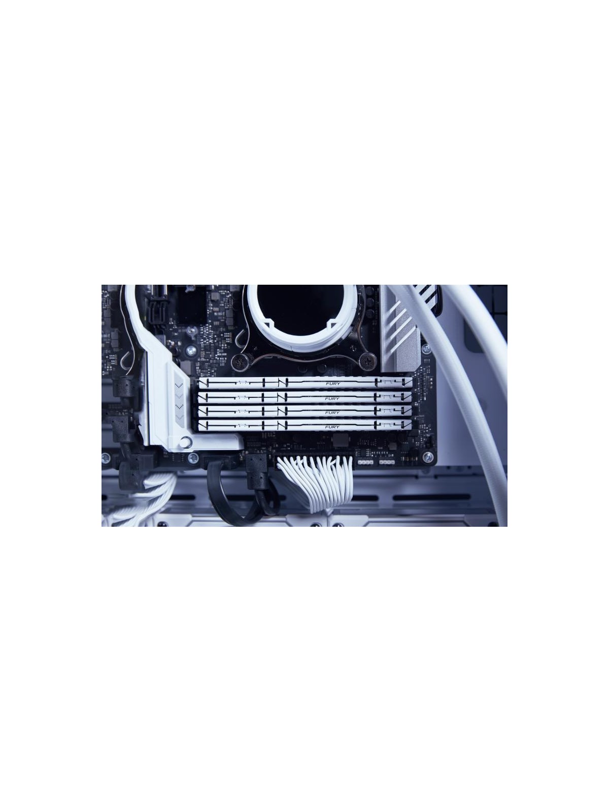 Kingston Technology FURY Beast 32GB 6000MT/s DDR5 CL36 DIMM (Kits de 2) White EXPO