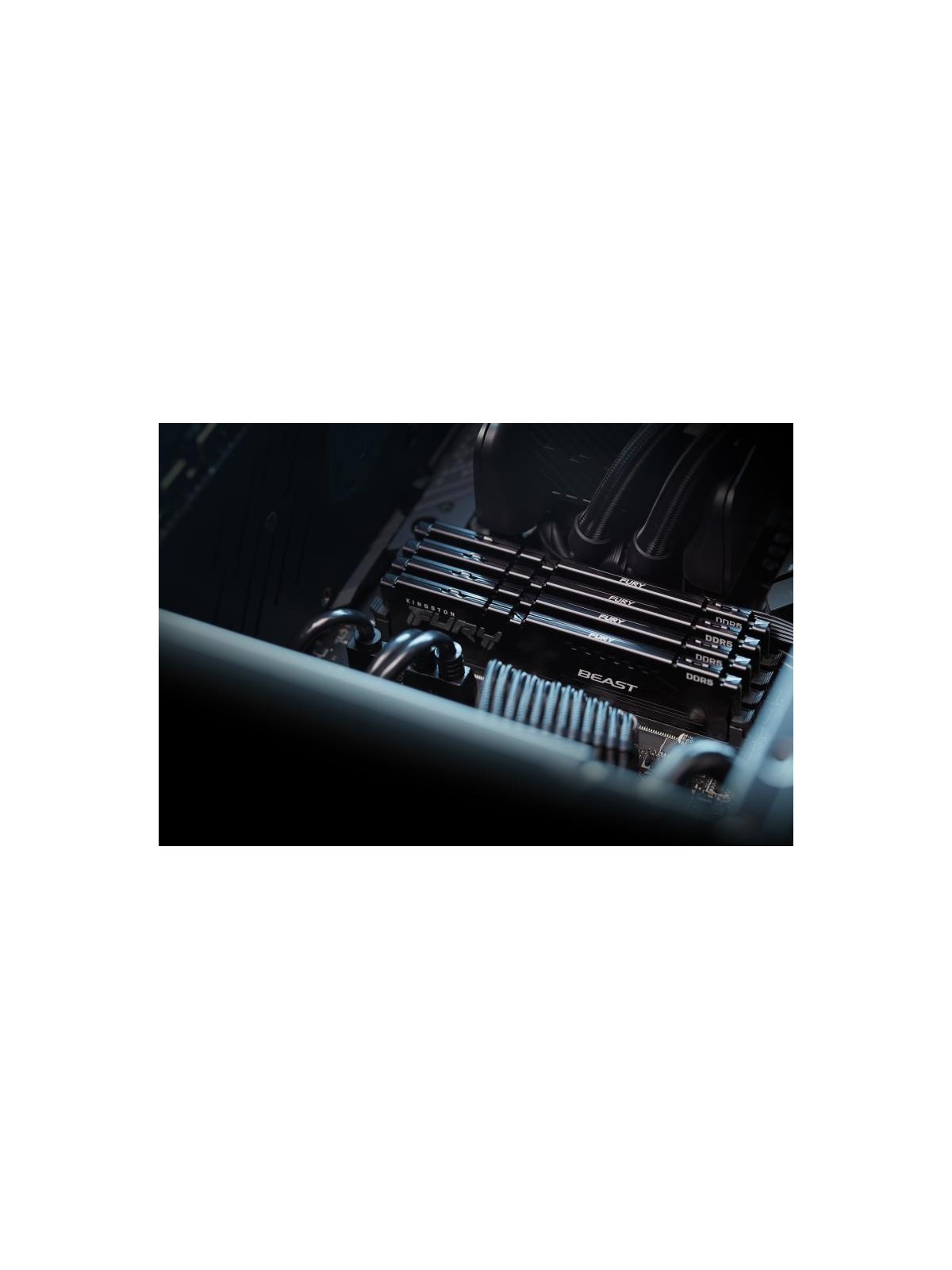 Kingston Technology FURY Beast 32GB 6000MT/s DDR5 CL36 DIMM (Kits de 2) Black EXPO