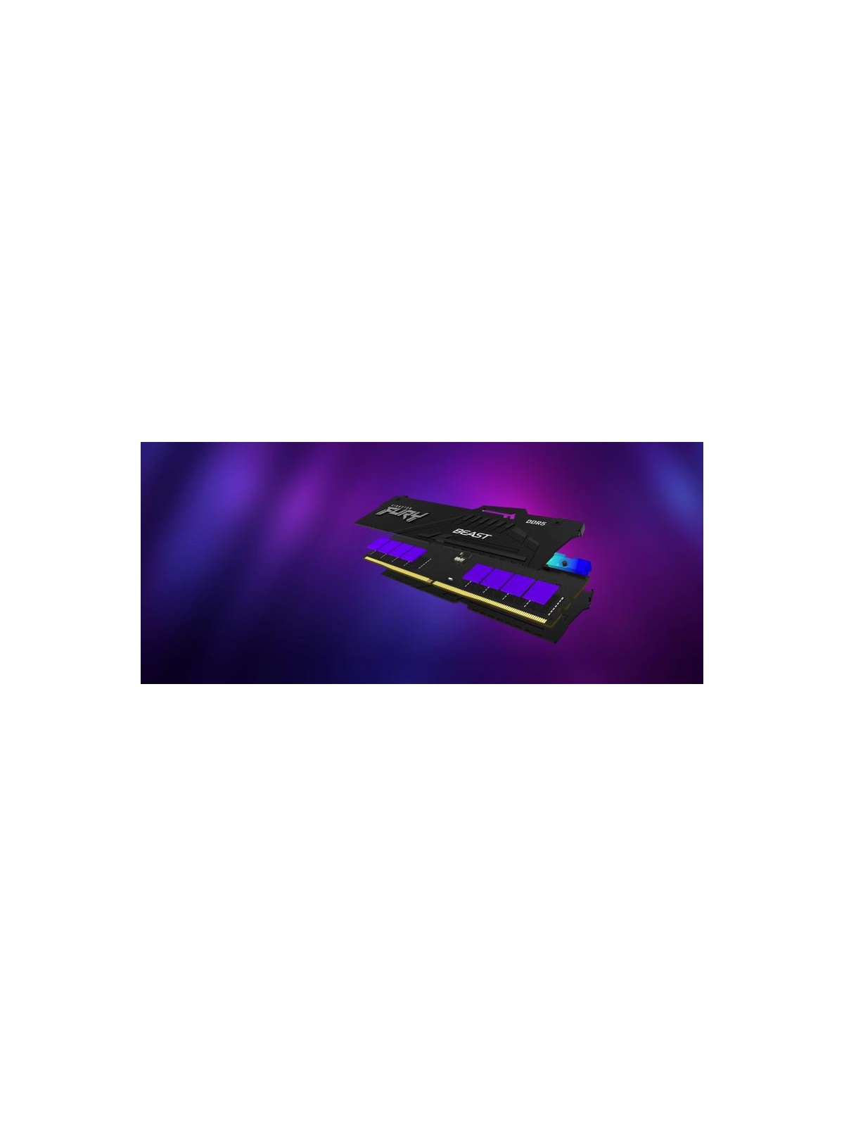 Kingston Technology FURY Beast 16 Go 5600 MT/s DDR5 CL36 DIMM RGB