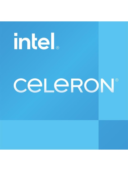 Intel Celeron G6900