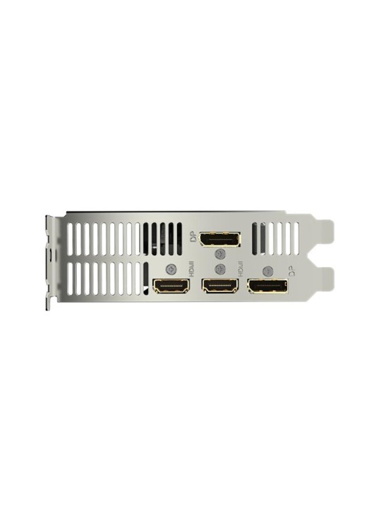 GIGABYTE GeForce RTX 4060 OC Low Profile 8G GIGABYTE GeForce RTX 4060 OC Low Profile 8G