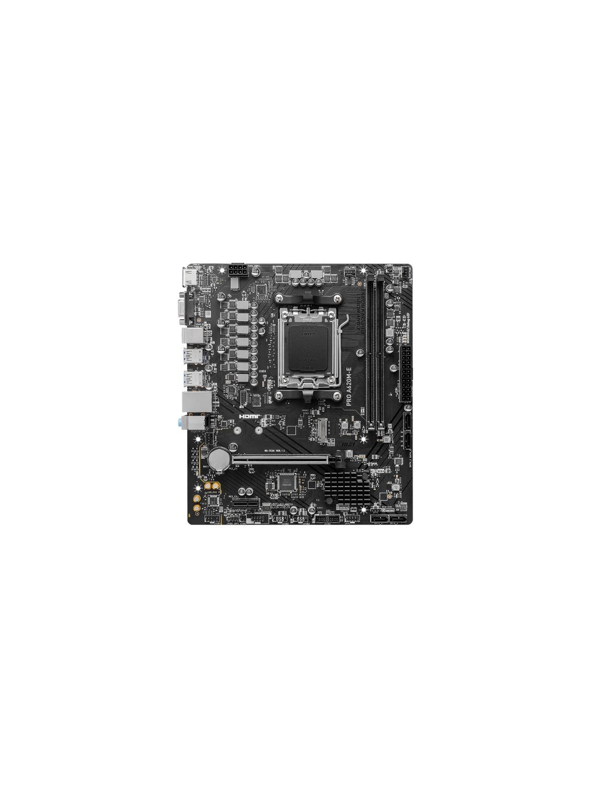 MSI PRO A620M-E