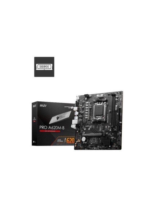MSI PRO A620M-B